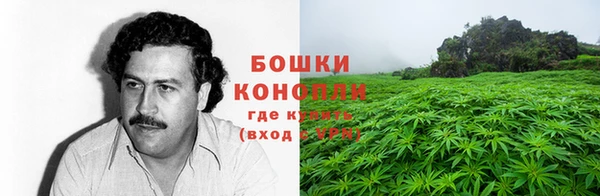 молекула духа Новозыбков