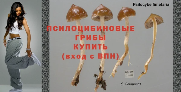 каннабис Новокубанск
