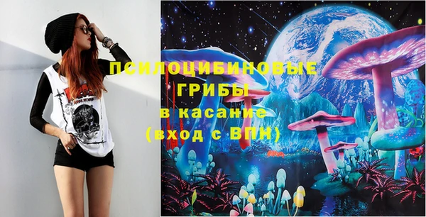 шишки Нея