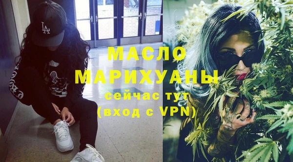 молекула духа Новозыбков