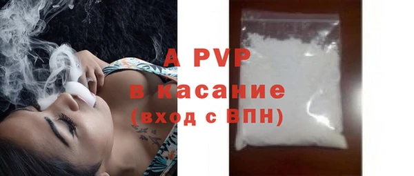 молекула духа Новозыбков