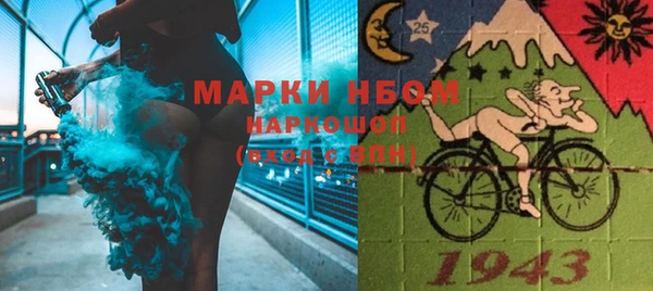 молекула духа Новозыбков