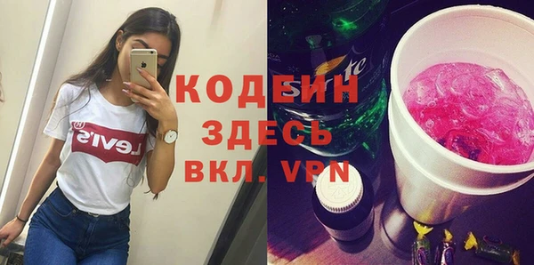 молекула духа Новозыбков