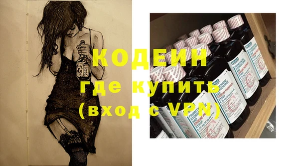 шишки Нея
