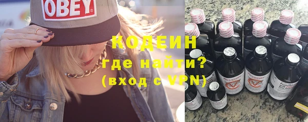 молекула духа Новозыбков