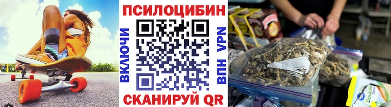 MEGA как зайти  Наволоки  Галлюциногенные грибы Psilocybine cubensis 
